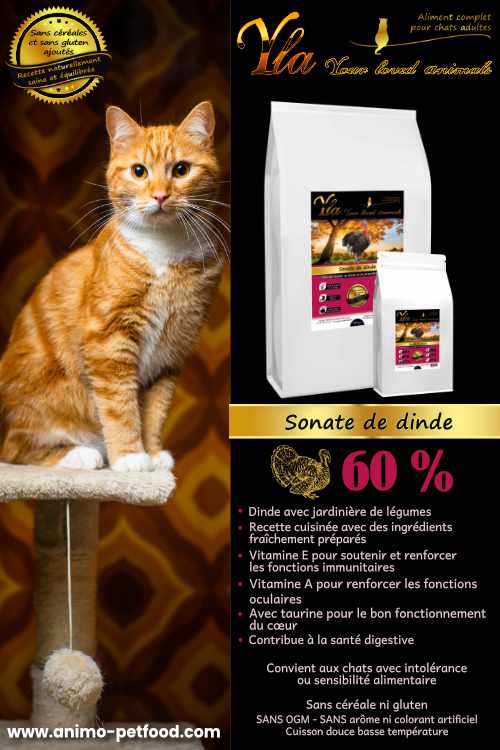 Croquettes pour chat Hypoallergéniques, sans céréales ni gluten, favorise une digestion saine et limite les risques d'allergie ou d'intolérances alimentaires